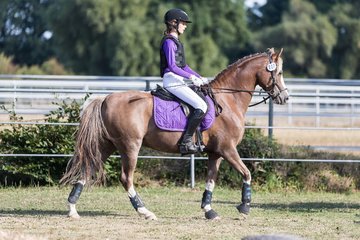 Bild 161 - Pony Akademie Turnier